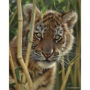  Collin Bogle   Discovery Artists Proof Canvas Giclee 