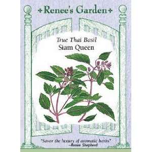  Basil   Thai   Queenette Seeds Patio, Lawn & Garden