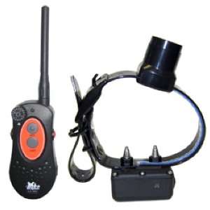  D.T. Systems H2O 1850 Remote Dog Trainer: Pet Supplies