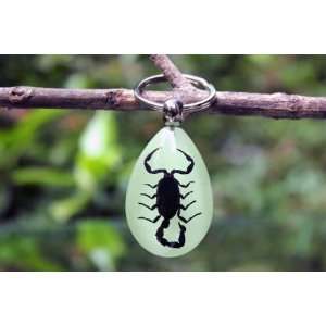  Real Amber Insect Keychain Jewelry Black Scorpion (Glow in 