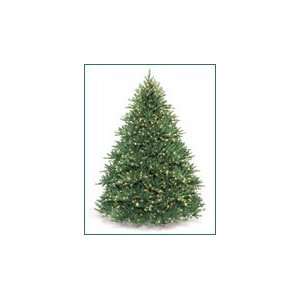   Christmas Tree Clear Lights   3350 lights   13110 tips: Home & Kitchen