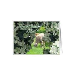  Easter, Dad, Lamb Feeds on Grass Behind Hydrangeas Card 