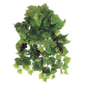   Bush x11 w/145 Lvs. & Grapes Green (Pack of 12): Home & Kitchen