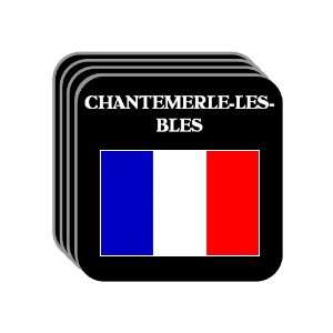  France   CHANTEMERLE LES BLES Set of 4 Mini Mousepad 