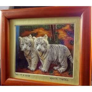  Shadowbox   Twin Rare White Bengal Tigers  3 Dimensional 
