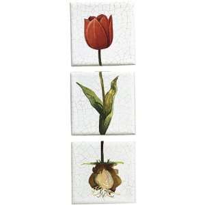  Kohler K 14200 TM 0 Fables & Flowers Decorative Field Tile 
