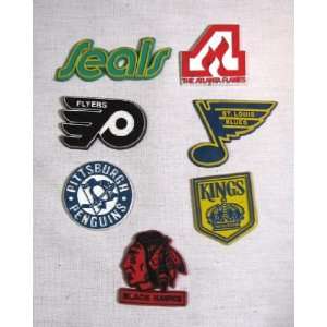  Vintage 1970s NHL 7 Team Logo Magnet Set: Everything Else