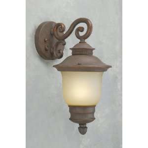  Forte Lighting 17000 01 09 Desert Stone Energy Efficient 