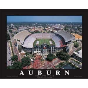  Auburn Tigers Jordan Hare Stadium Poster Print: Home 