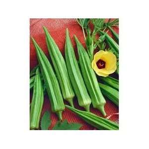  Okra Clemson Spineless Seeds 50+ Beautiful Blooms By 