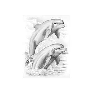  Reeves Sketching By Number Kit 8x11 3/4 dolphins 2 Pack 