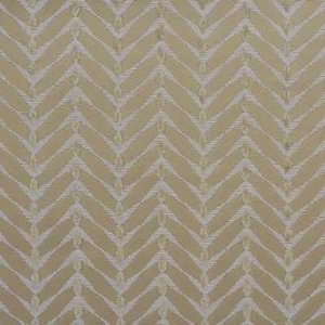  Zebrano 101 by Groundworks Fabric: Home & Kitchen