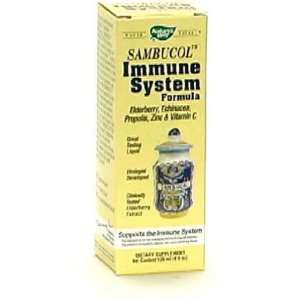  Natures Way   Sambucus Immune Syrup, 4 oz liquid Health 