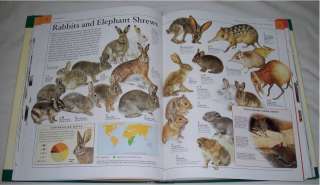 NATIONAL GEOGRAPHIC ENCYCLOPEDIA OF ANIMALS HARD COVER / MCGHEE 