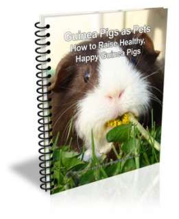   Guinea Pigs by D.P. Brown, Learning Life eBooks  NOOK Book (eBook
