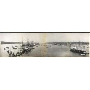  Panoramic Reprint of Yale   Harvard boat race, 1905: Home 