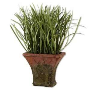  UT60025   Ornamental Grass in Terra Cotta Planter: Kitchen 