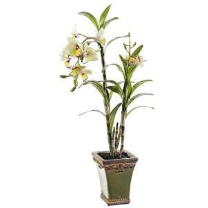   Artificial Green Dendrobium Orchid Silk Flower Plants 24 Home