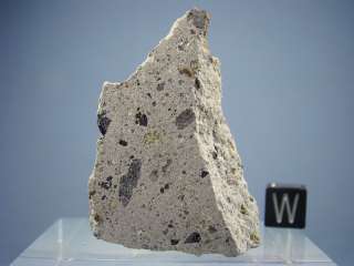 NWA 1769 Meteorite   Howardite   Fragment 29.36 g LAST  