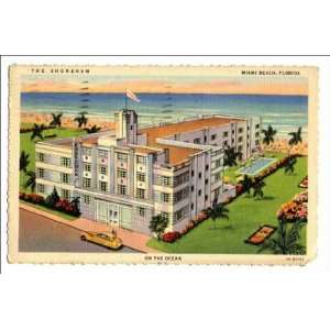  Reprint The Shoreham, Miami Beach, Florida, on the Ocean 