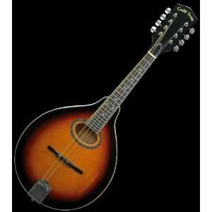   STYLE BODY SOLID SPRUCE TOP 8 STRING MANDOLIN Musical Instruments