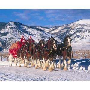  Budweiser Clydesdales Winter Bliss 1000 Piece Puzzle Toys 