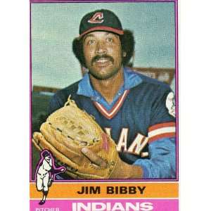 1976 Topps #324 Jim Bibby:  Sports & Outdoors