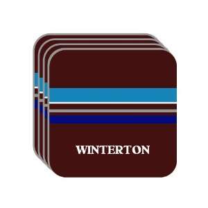 Personal Name Gift   WINTERTON Set of 4 Mini Mousepad Coasters (blue 