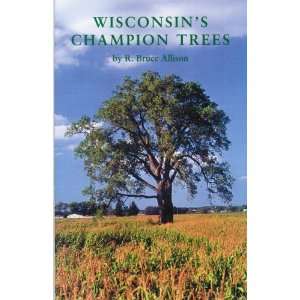   Trees A Tree Hunters Guide [Paperback] R. Bruce Allison Books