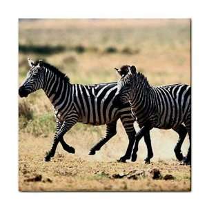    Zebras Ceramic Tile Coaster Great Gift Idea: Office Products