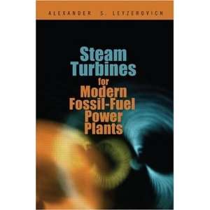   : Steam Turbines for Modern Fossil Fuel Power Plants: Everything Else