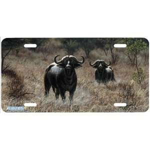5732 Cape Fear Water Buffalo License Plate Car Auto Novelty Front 