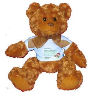  Dear Santa Letter Spoil Matthew Rotten Plush Teddy Bear 