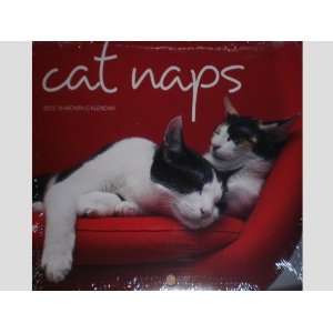  Cat Naps 16 Month 2012 Mini Wall Calendar: Office Products