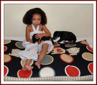 BOOAK Custom Boutique LITTLE SMALL DOG CAT Pet Bed Zipper Pillow Cover 