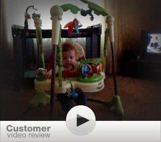  C. Z. Yosts review of Fisher Price Rainforest Jumperoo