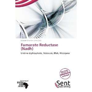   Fumarate Reductase (Nadh) (9786139387083) Mariam Chandra Gitta Books