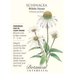  White Swan Echinacea Seeds Patio, Lawn & Garden