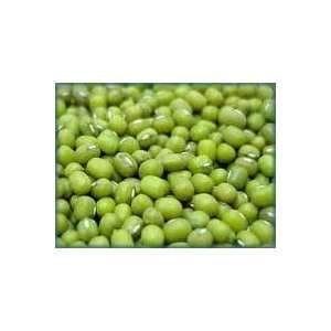  Mung Bean Sprouting Seed Organic High Sprout Germination 