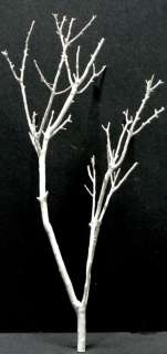 White Painted Manzanita Branches 24  