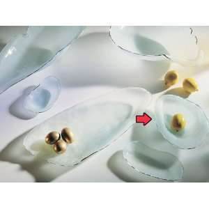 AnnieGlass Shell Series Gold Abalone:  Home & Kitchen