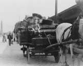 1923 photo Boy driving horse drawn wagon loaded wi  