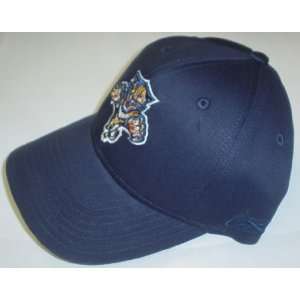  Reebok Florida Panthers Navy Blue Basic Logo Adjustable Hat 