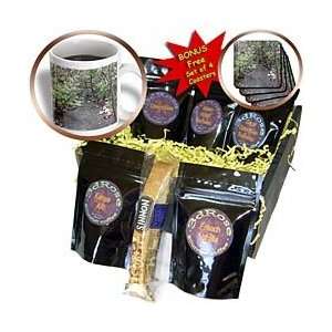 Beverly Turner Photography   Up the Stream   Coffee Gift Baskets 