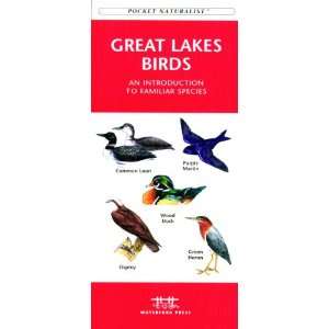  Waterford Great Lakes Birds: Patio, Lawn & Garden