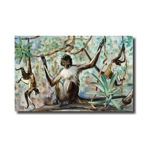  Spider Monkeys In A Forest Habitat Giclee Print