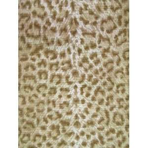  Sample   Cheetah Sand