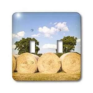 VWPics Istanbul   Bales of hay in a field, Wiltshire, England   Light 