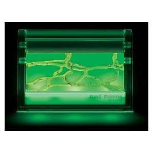    Illuminated Ant Farm Gel Colony by Uncle Milton: Toys & Games