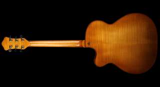   Chancellor Archtop Hollow Body Electric Guitar Ebony FB Violin Finish